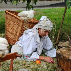O kouzelnm jablku - trh Klatovy