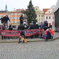 Klatovc u stromku 2017