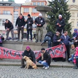 Klatovc u stromku 2017