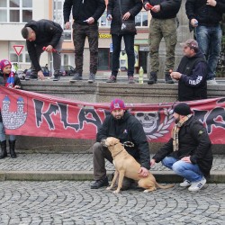 Klatovc u stromku 2017