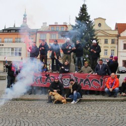 Klatovc u stromku 2017