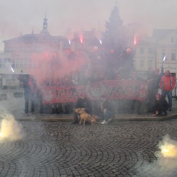 Klatovc u stromku 2017