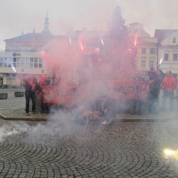 Klatovc u stromku 2017