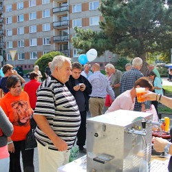 Pedvolebn akce Nrsko